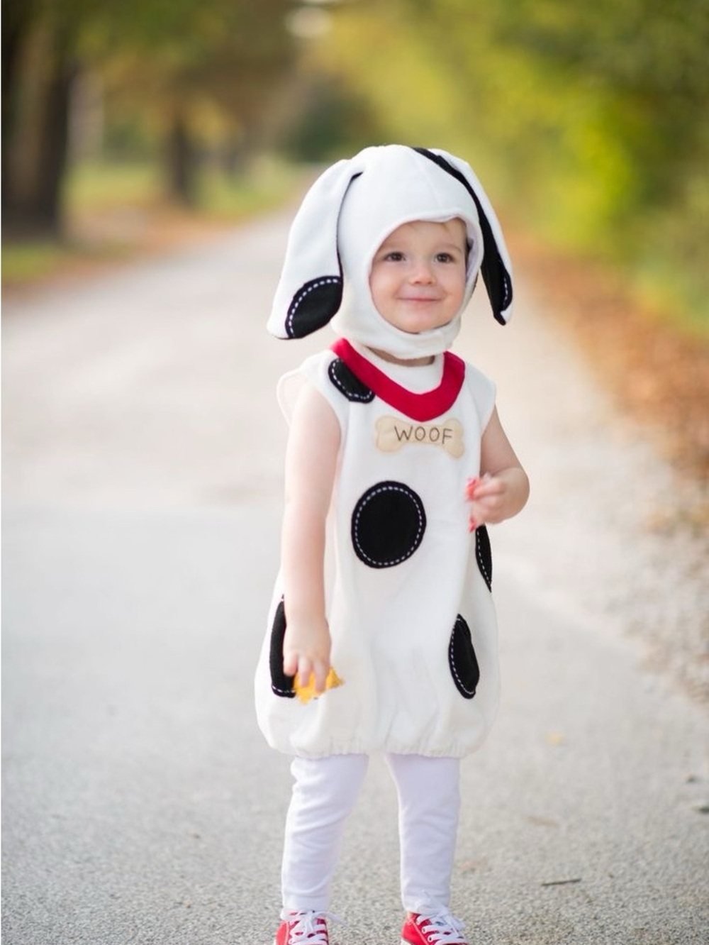 Pottery Barn Dalmatian costume